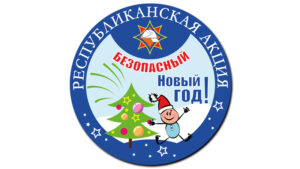 Подробнее о статье Безопасный Новый год!
