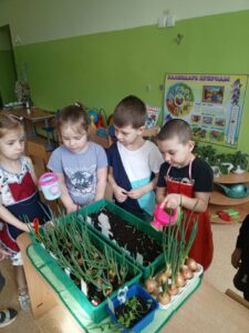 Подробнее о статье Огород на подоконнике