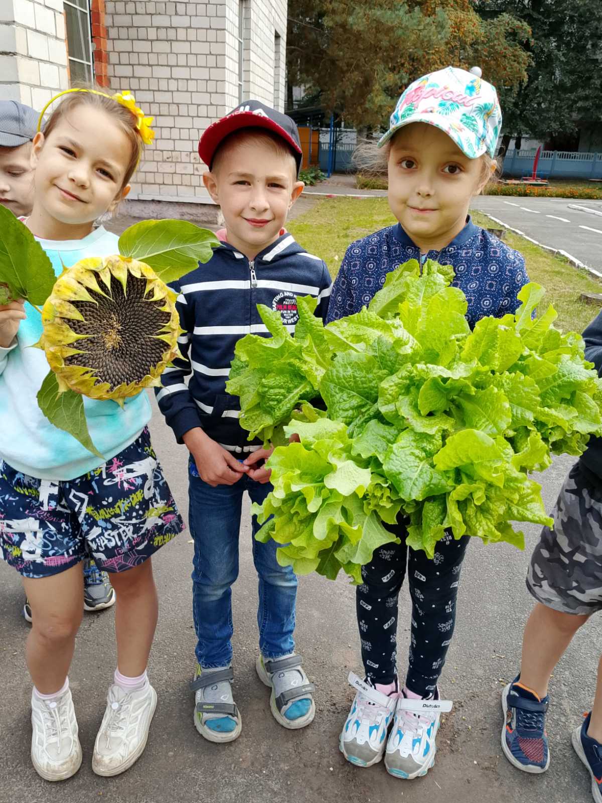 Подробнее о статье 🌱 От семечка до урожая! 🍅